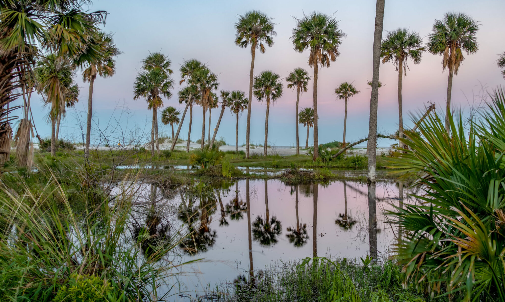 Scenes Around Hunting Island South Carolina In Summer